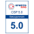 Лицензия на право использования СКЗИ «КриптоПро CSP» 4.0/5.0 (бессрочная)